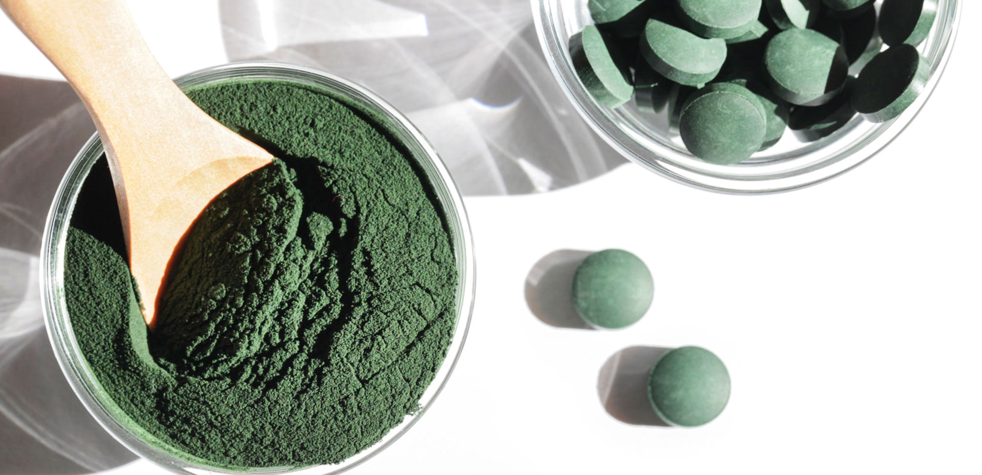 Various Organic Algae Raw Materials