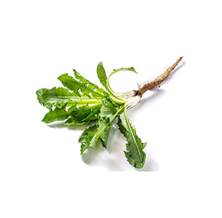 Organic Dandelion Root Powder