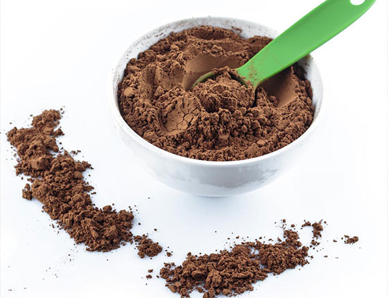 organic grifola frondosa powder