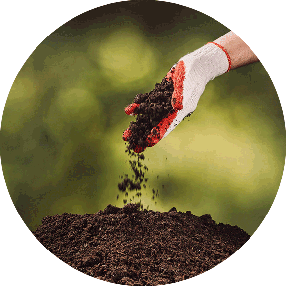 No Artificial Compounds