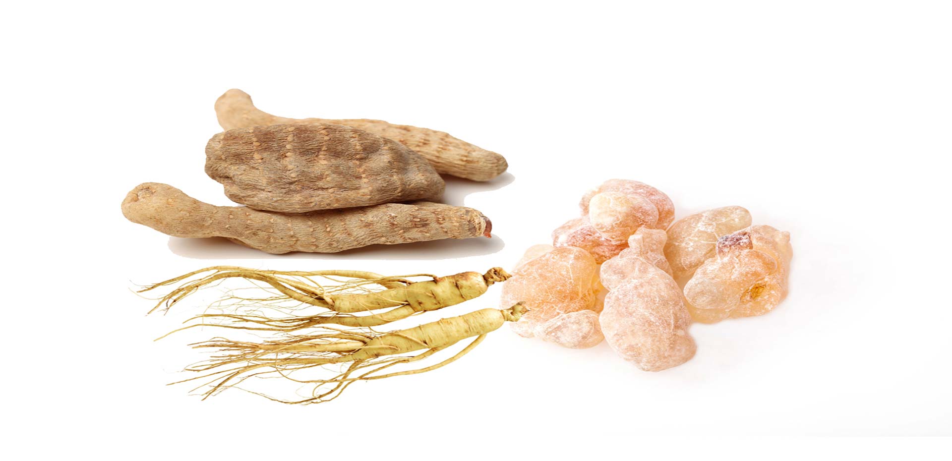 Types of Organic Extracts Raw Materials