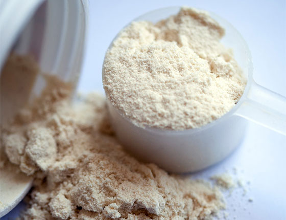 organic rice protein supplier