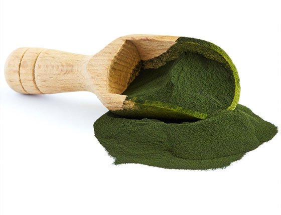 organic chlorella powder bulk