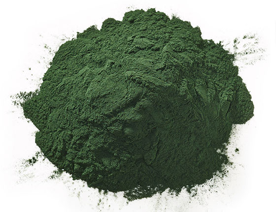 organic spirulina powder