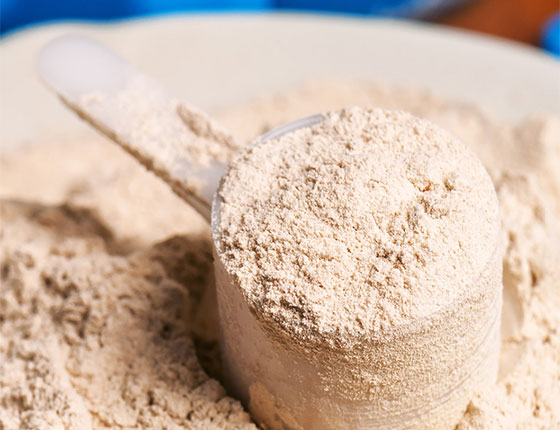 organic vegan pea protein powder