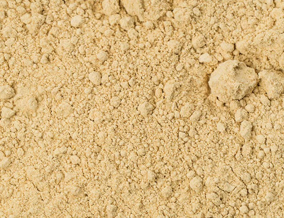 organic ginger powder price