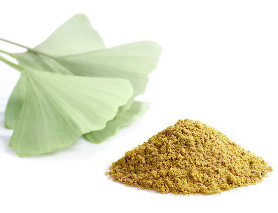 organic ginkgo powder