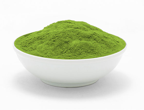 organic matcha powder