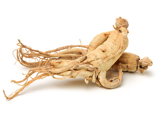 panax ginseng powder