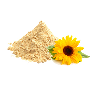 Organic Sunflower Lecithin Powder Bulk