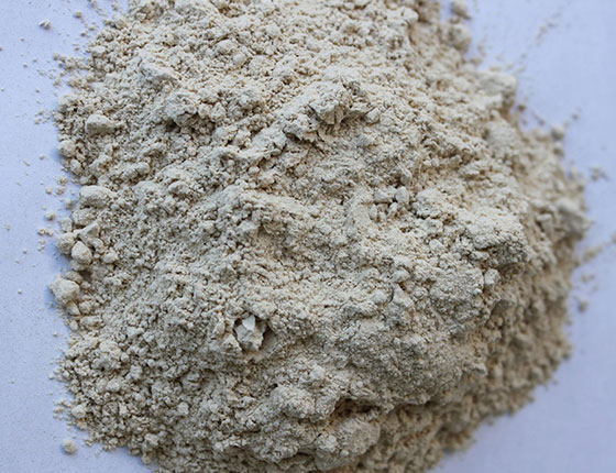 organic astragalus root extract