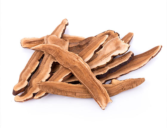 organic medicinal mushroom powder