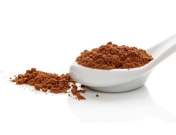 organic reishi powder