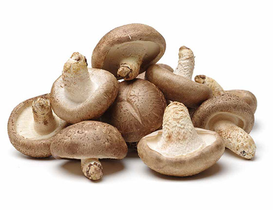 organic shiitake mushroom powder