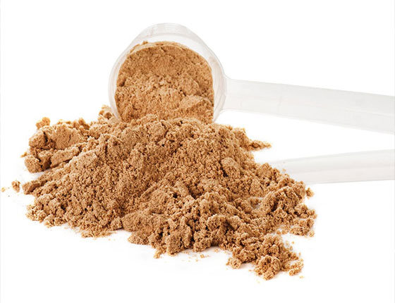 organic turkey tail powder
