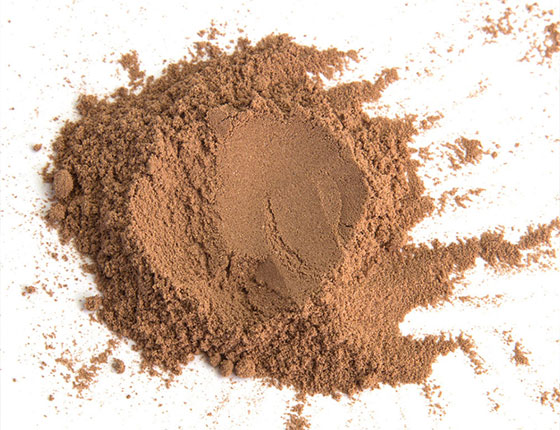 shiitake extract powder