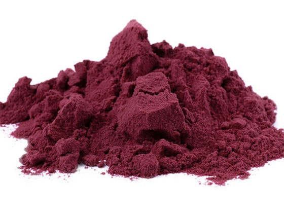 organic blackcurrant powder 2