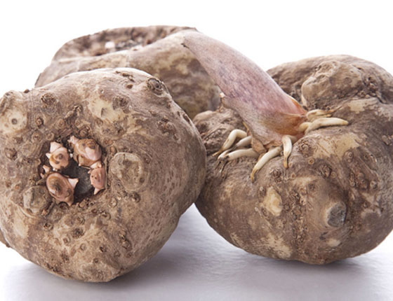 organic konjac powder 3